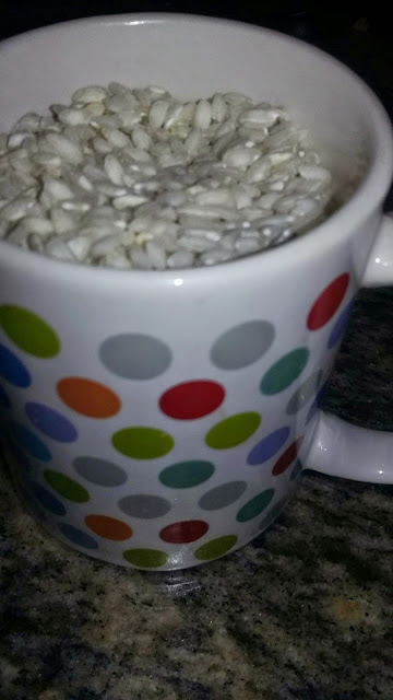 Food for Thought; Risotto