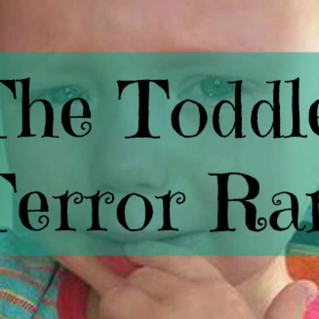 The Toddler Terror Rant