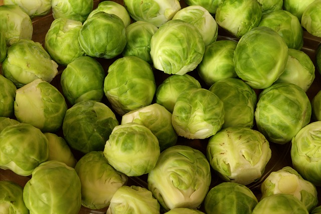 brussels-sprouts-463378_640