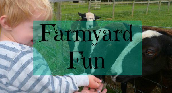 Travel A Day Out; National Forest Adventure Farm