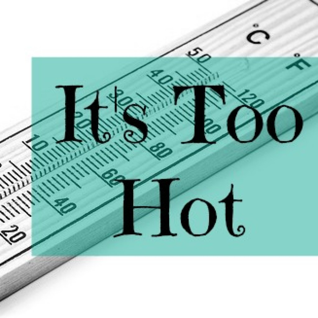 Surviving the Heatwave with Children