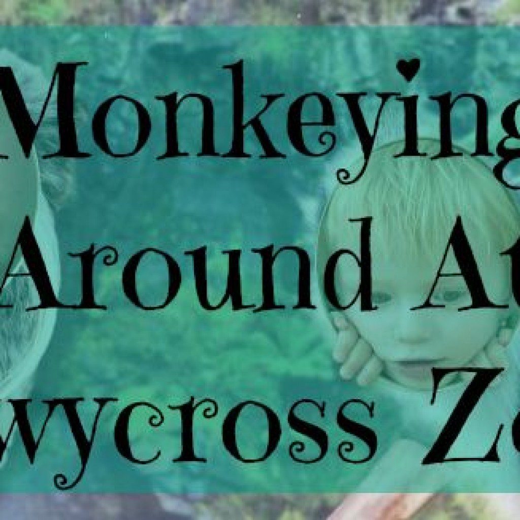 Travel A Day Out; Twycross Zoo