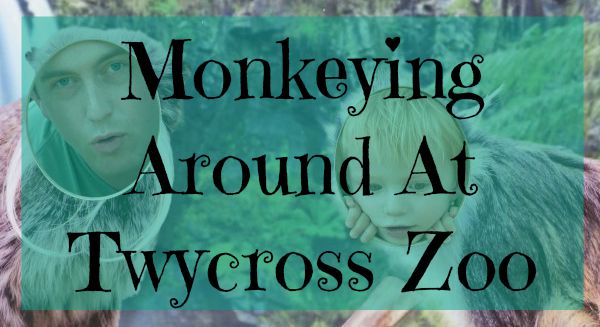 Travel A Day Out; Twycross Zoo