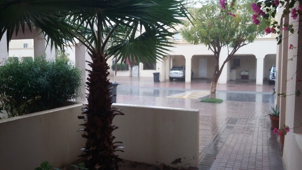 So It Does Rain in Dubai After All