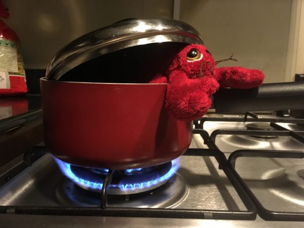 When the Class Teddy Comes to Stay