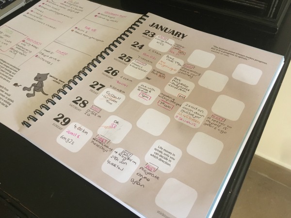 stigu week 2 plan bug