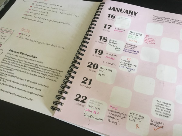 using stigu planner as bullet journal week one