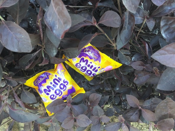 Cadbury Easter Hunt