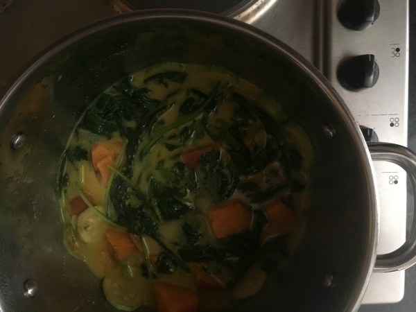Asian Inspired Spinach Soup