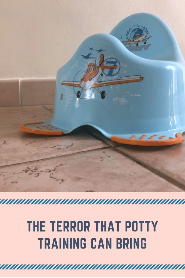 The terror that potty training can bring