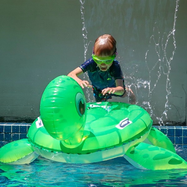 Inflatable turtle in pool